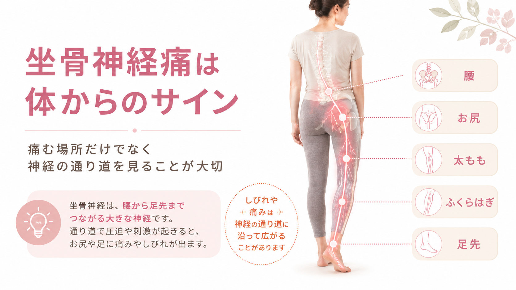 坐骨神経痛は病名ではなく腰から足先まで続く神経の通り道に出る体からのサインを示す図解