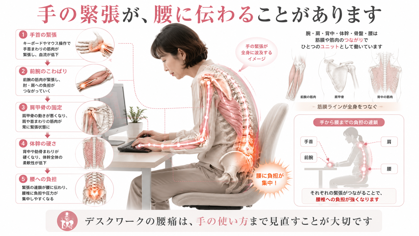 キーボードやマウス作業による手首や前腕の緊張が、肩や体幹を通じて腰へ負担を伝える仕組みの図解