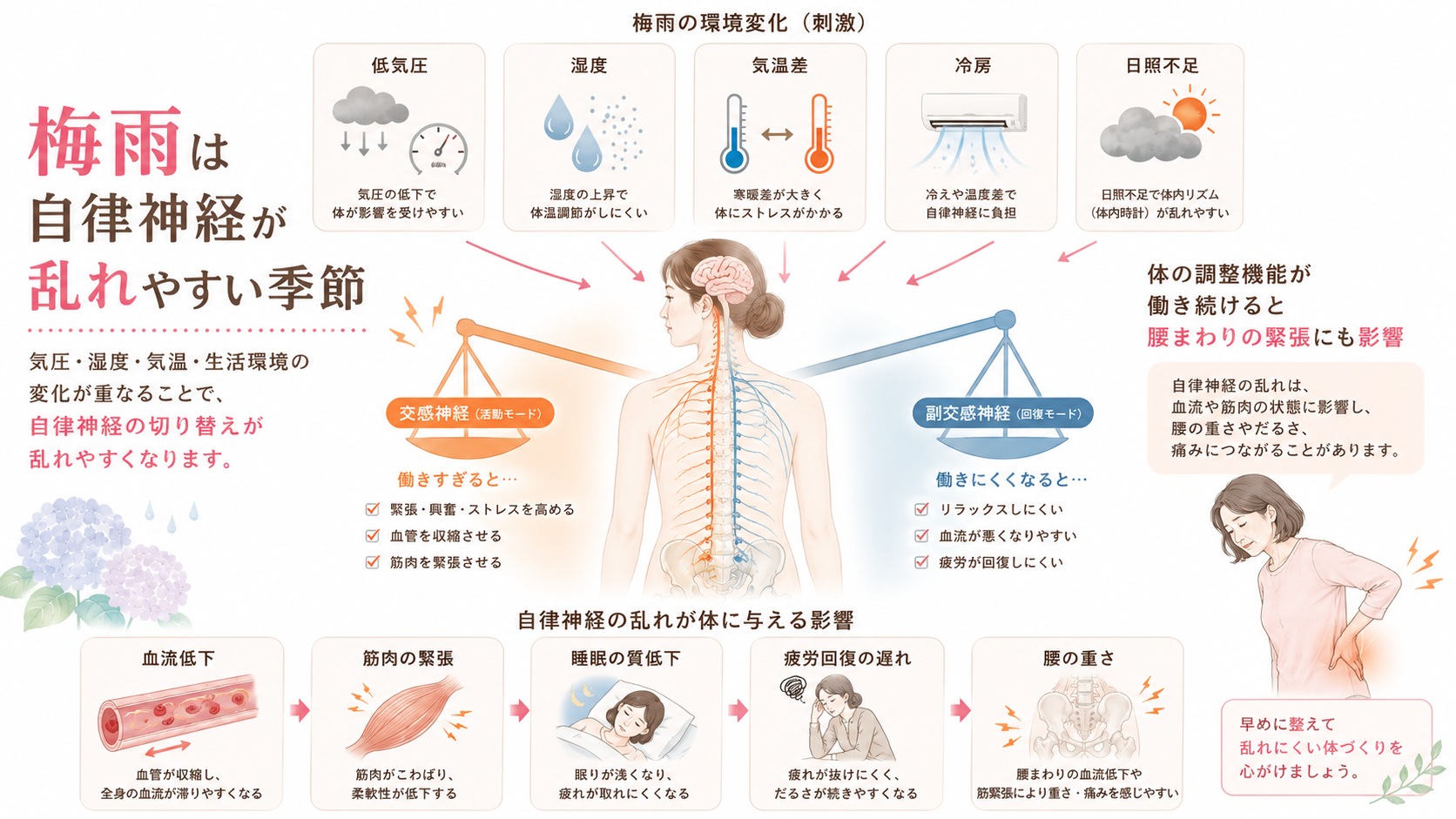 梅雨の低気圧・湿度・気温差・冷房・日照不足が自律神経を乱し腰痛につながる流れを示した図解画像