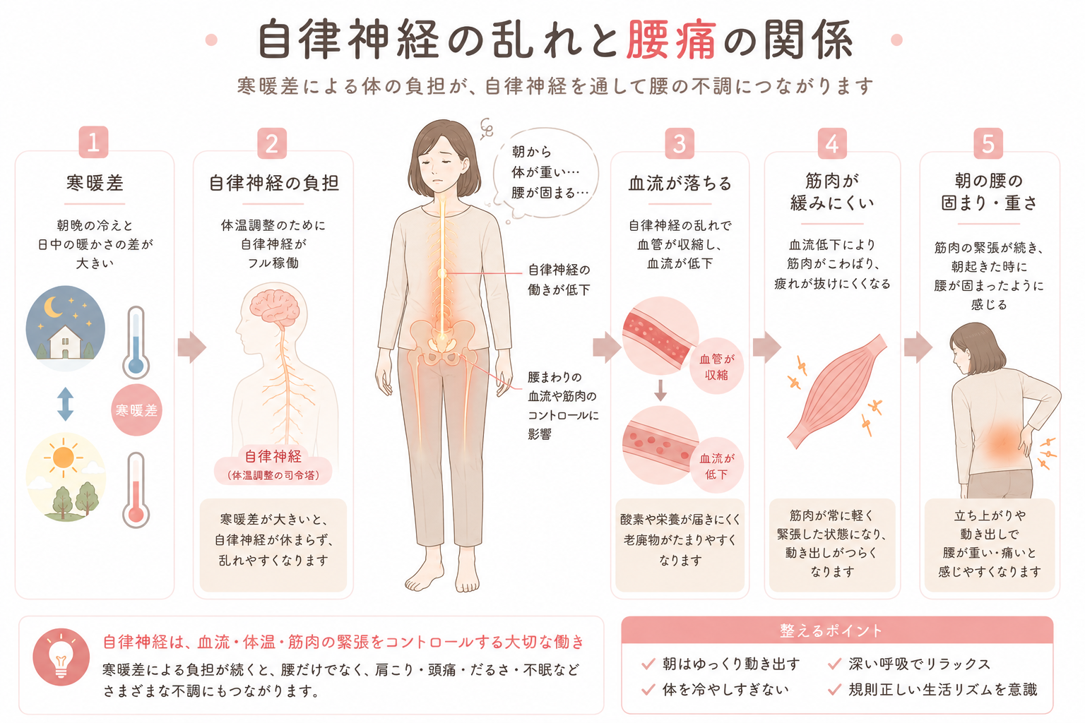 寒暖差による自律神経の乱れが血流低下や筋肉の緊張を招き、朝の腰痛につながる仕組みの図解