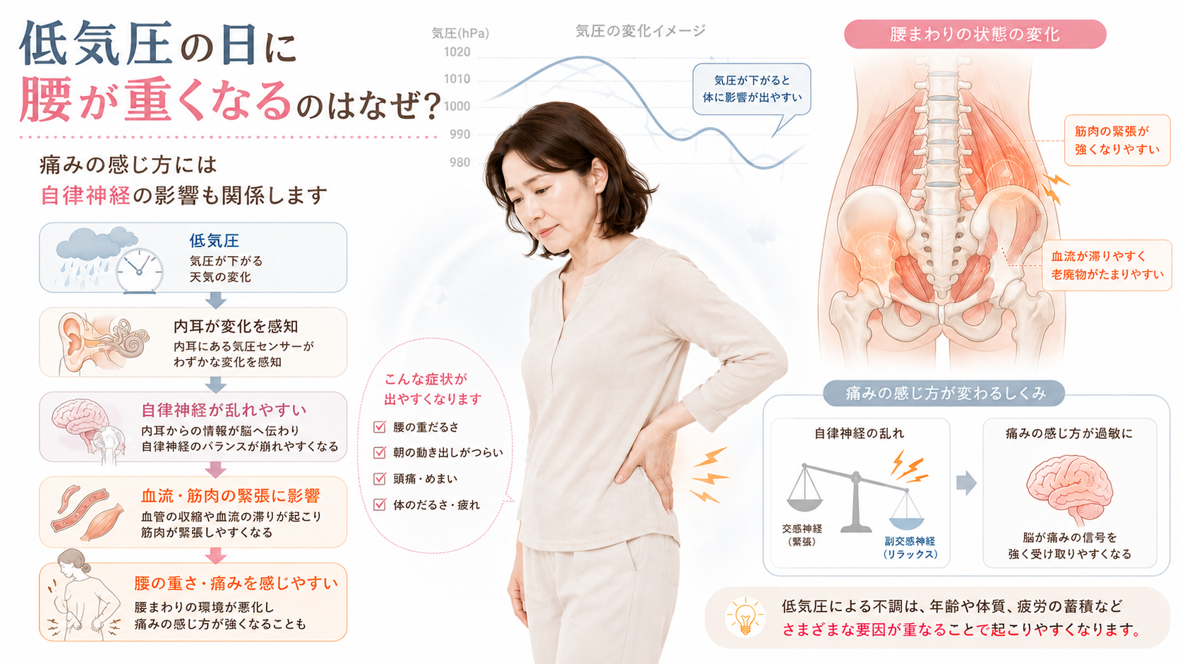 低気圧が内耳や自律神経に影響し血流や筋肉の緊張を通じて腰痛につながる仕組みを示した医学図解