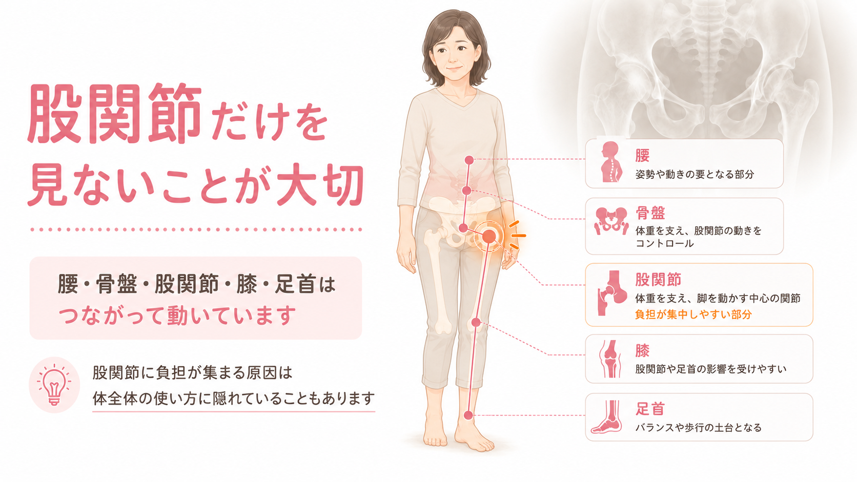 股関節の痛みを腰・骨盤・股関節・膝・足首のつながりから考える全身バランスの専門図解画像