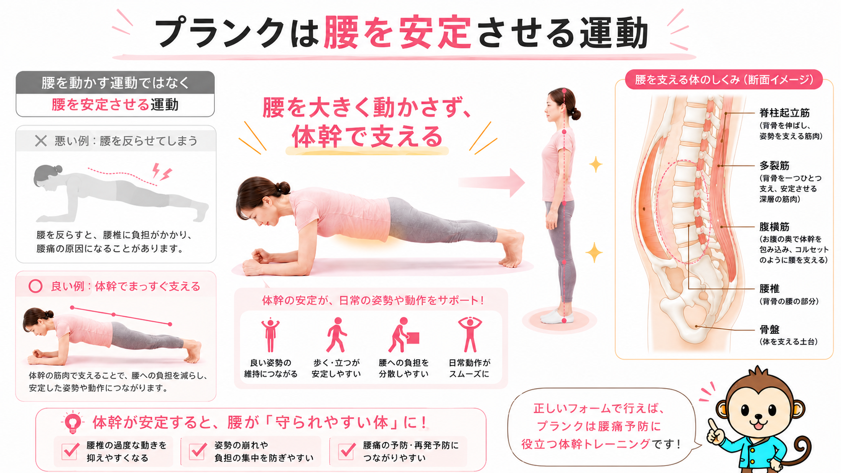 プランクが腰を大きく動かさず体幹で支える運動であることを腰椎・骨盤・腹横筋・多裂筋の図解で示した画像