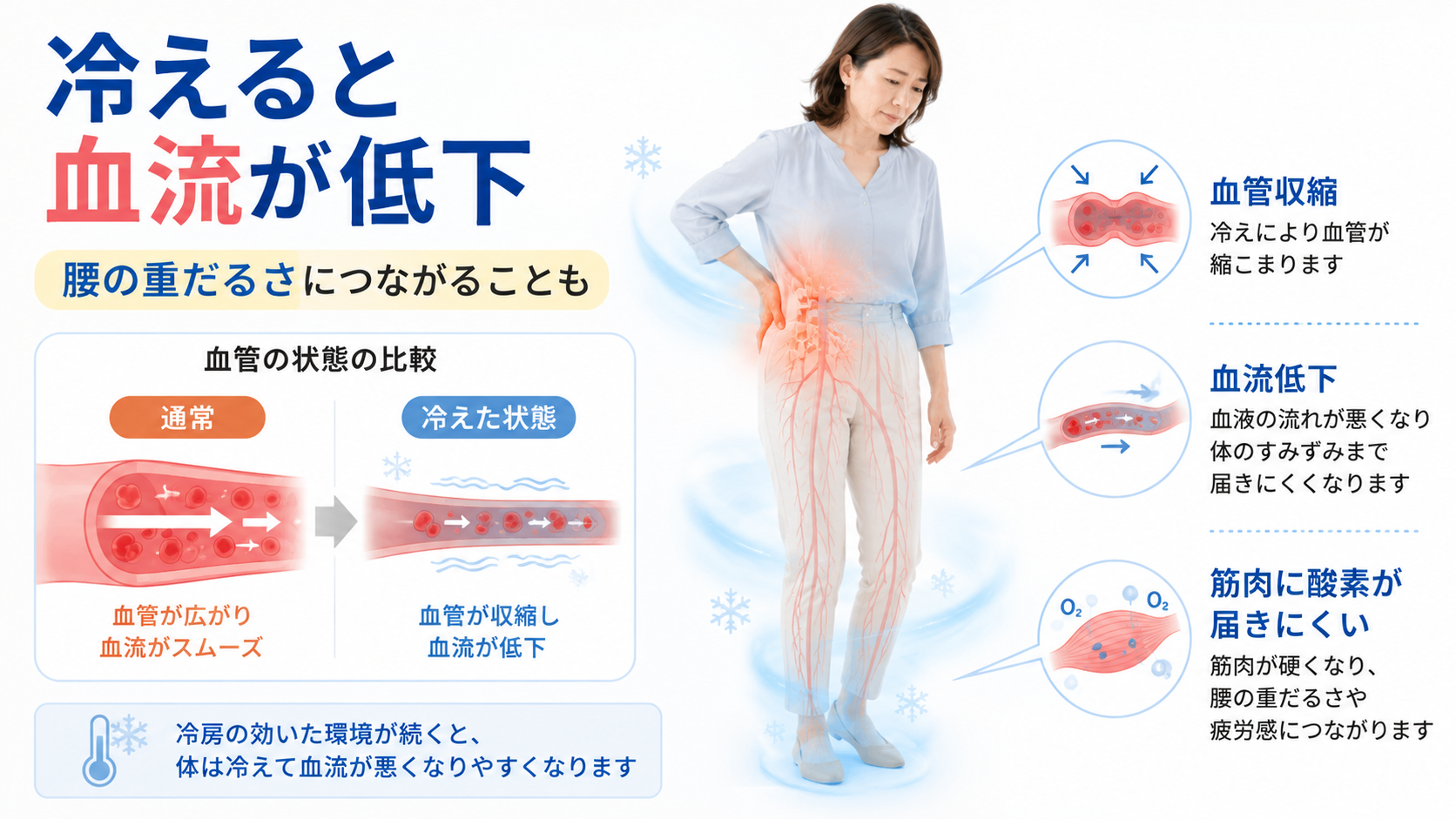 冷房による冷えで血管が収縮し血流が低下する仕組みを示した医学図解
