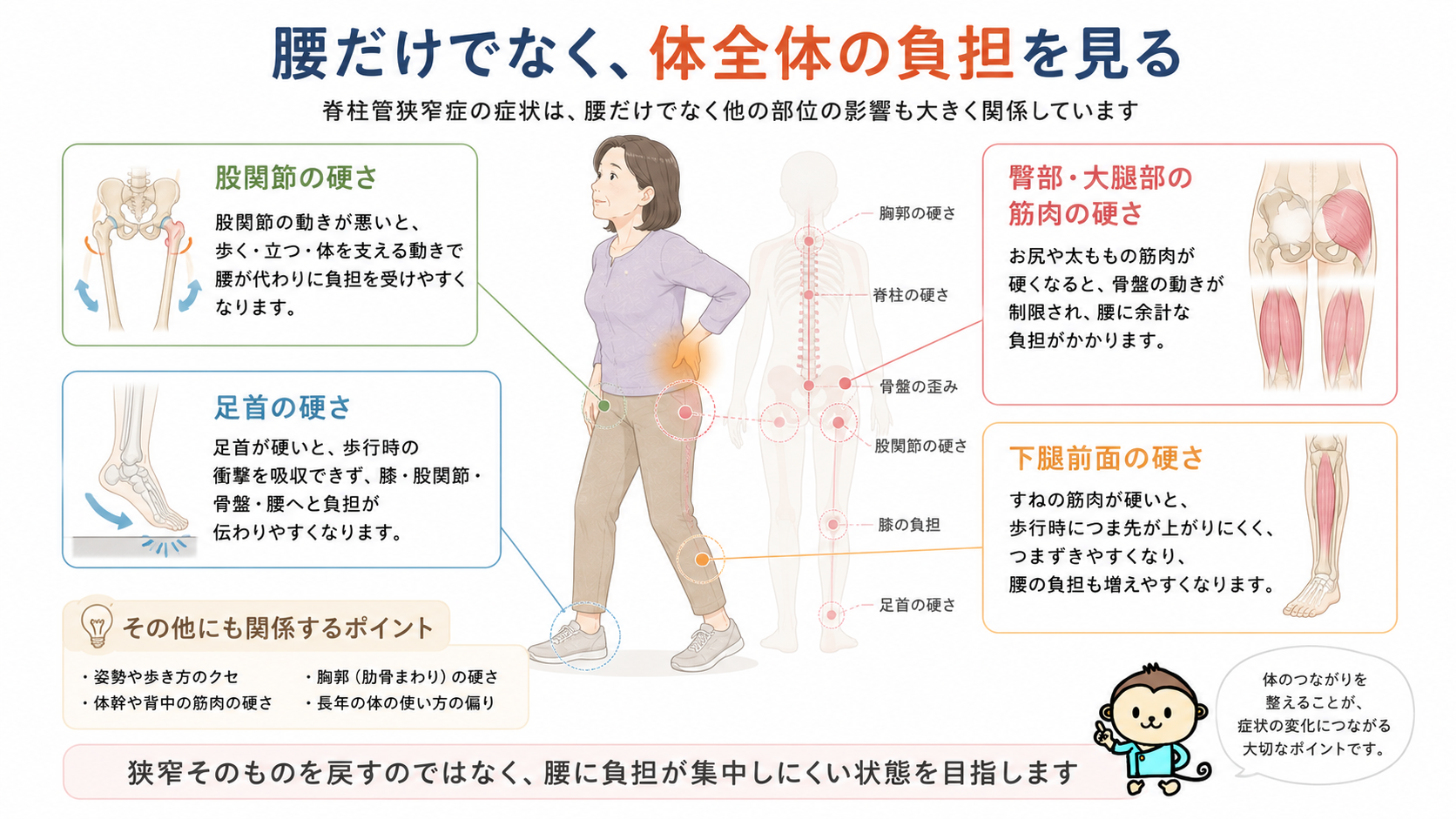 脊柱管狭窄症の症状に股関節や足首、臀部、大腿部、下腿前面の硬さが関係することを示した原因マップ画像