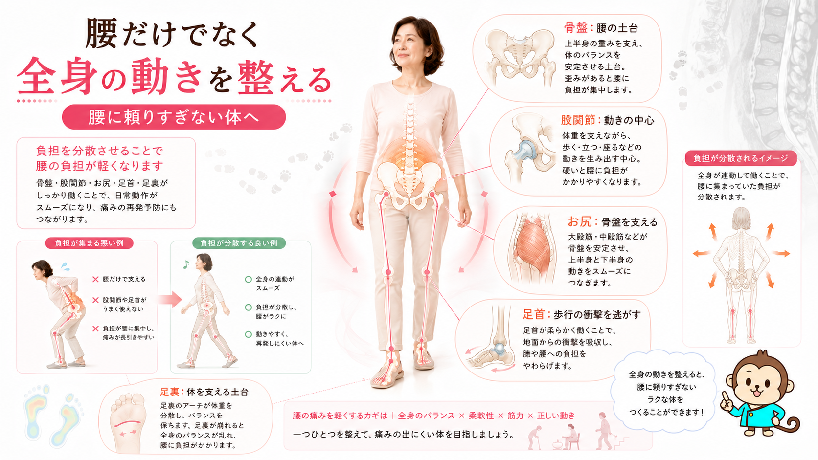 椎間板ヘルニア手術後の腰痛対策として骨盤・股関節・お尻・足首・足裏の動きを整える図解