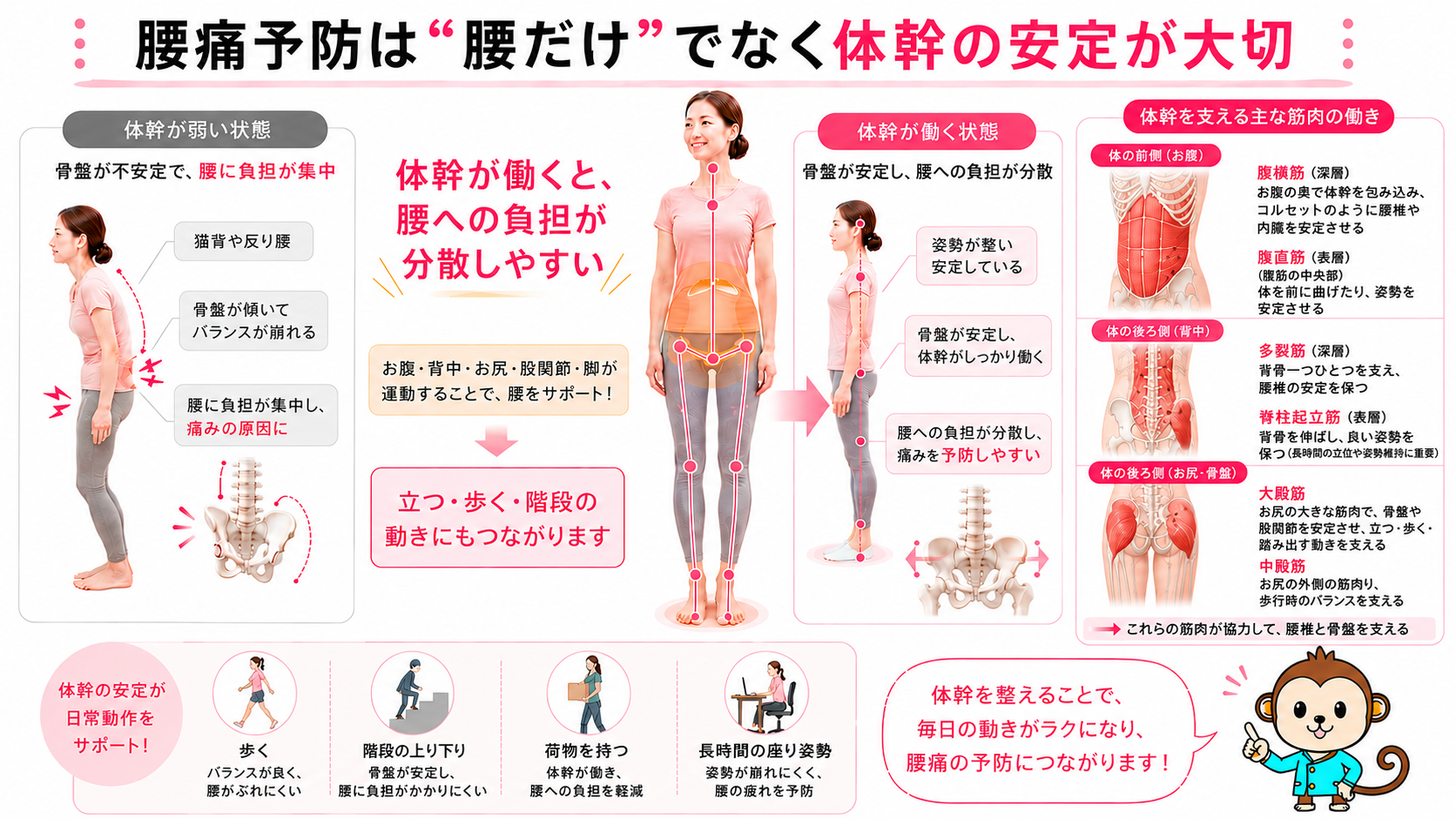 体幹の安定が腰痛予防に役立つ理由を姿勢・骨盤・腰椎・腹横筋・多裂筋・大殿筋・中殿筋で解説した図解