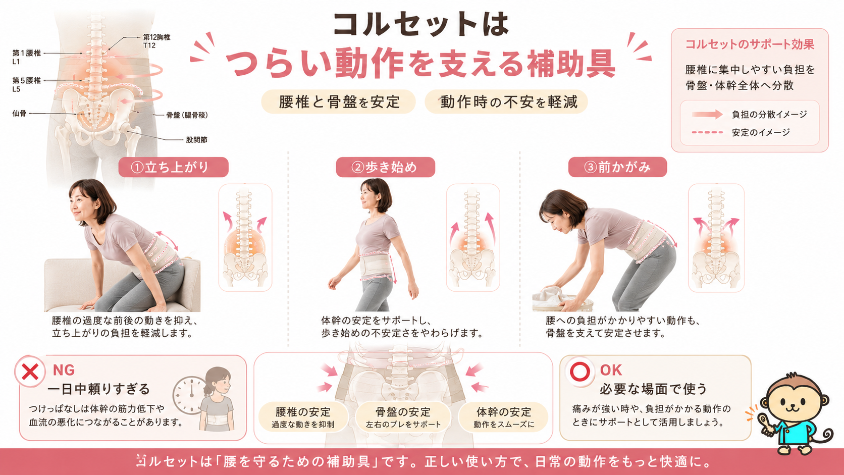 腰痛コルセットが立ち上がり、歩き始め、前かがみ動作を支える効果を示した医療図解。