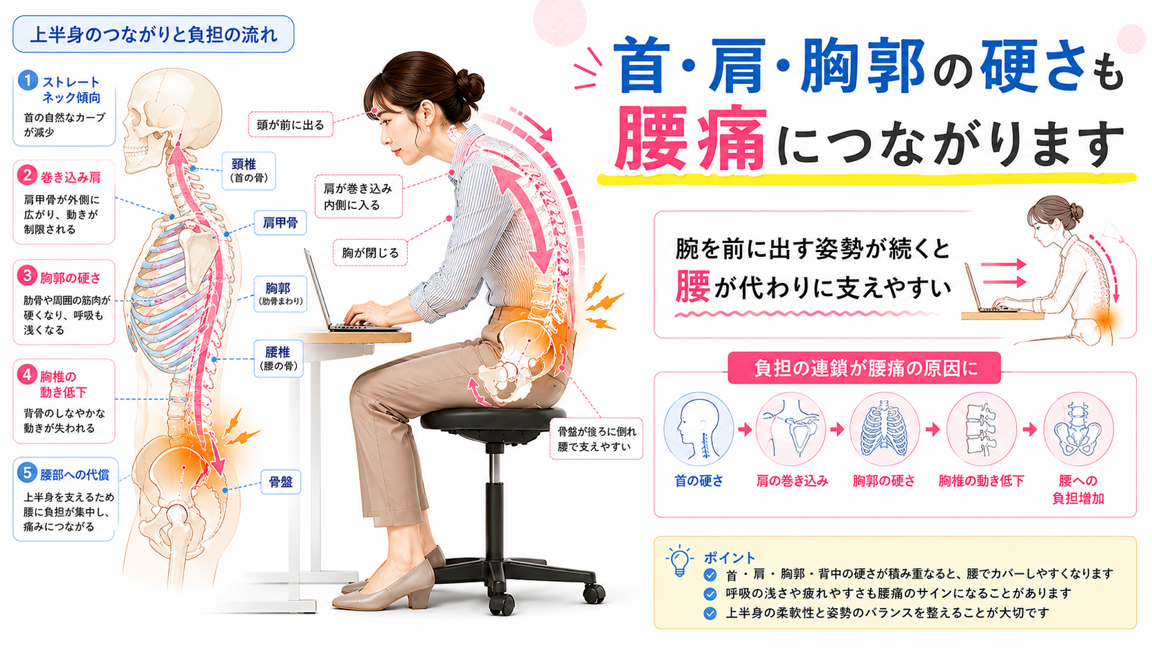 ストレートネック、巻き込み肩、胸郭の硬さ、胸椎の動き低下が腰痛につながる流れを示した医学図解画像