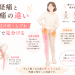 坐骨神経痛と股関節痛の違い｜お尻・足の付け根・しびれの見分け方