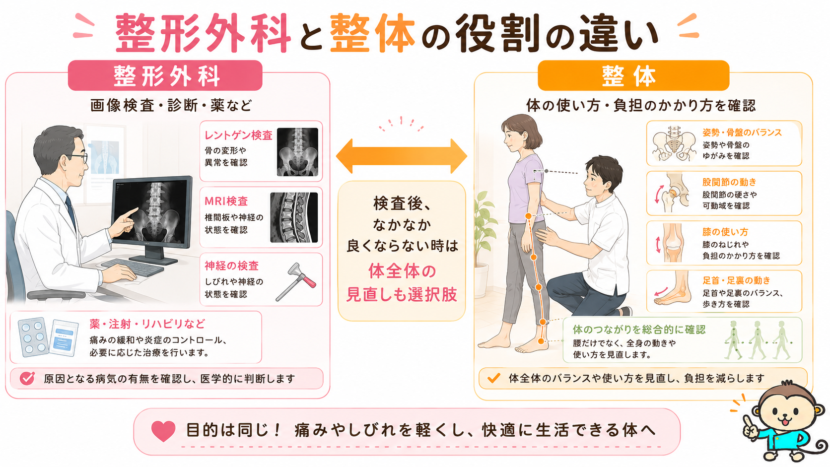整形外科は画像検査や診断、整体は体の使い方や負担を確認する役割の違いを示す比較図