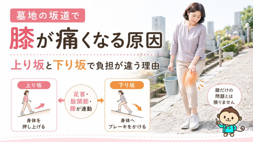 墓地の坂道で膝が痛くなる原因｜上り坂と下り坂で負担が違う理由