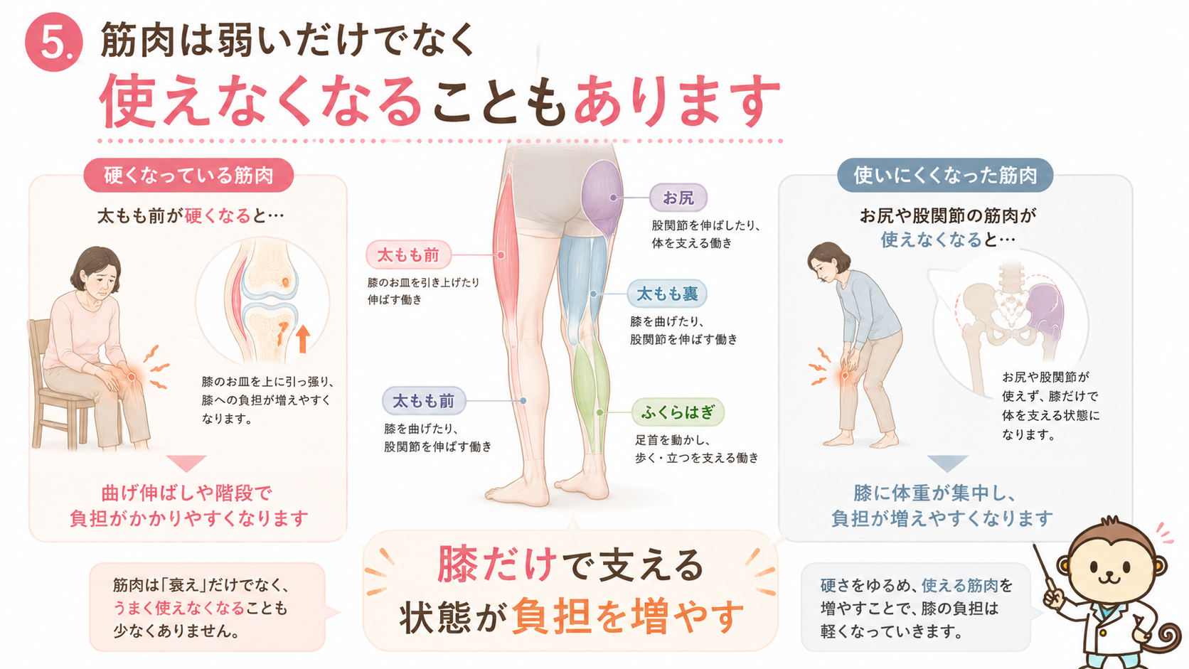 太もも前・お尻・太もも裏・ふくらはぎの筋肉と膝への負担の関係を説明する図解画像
