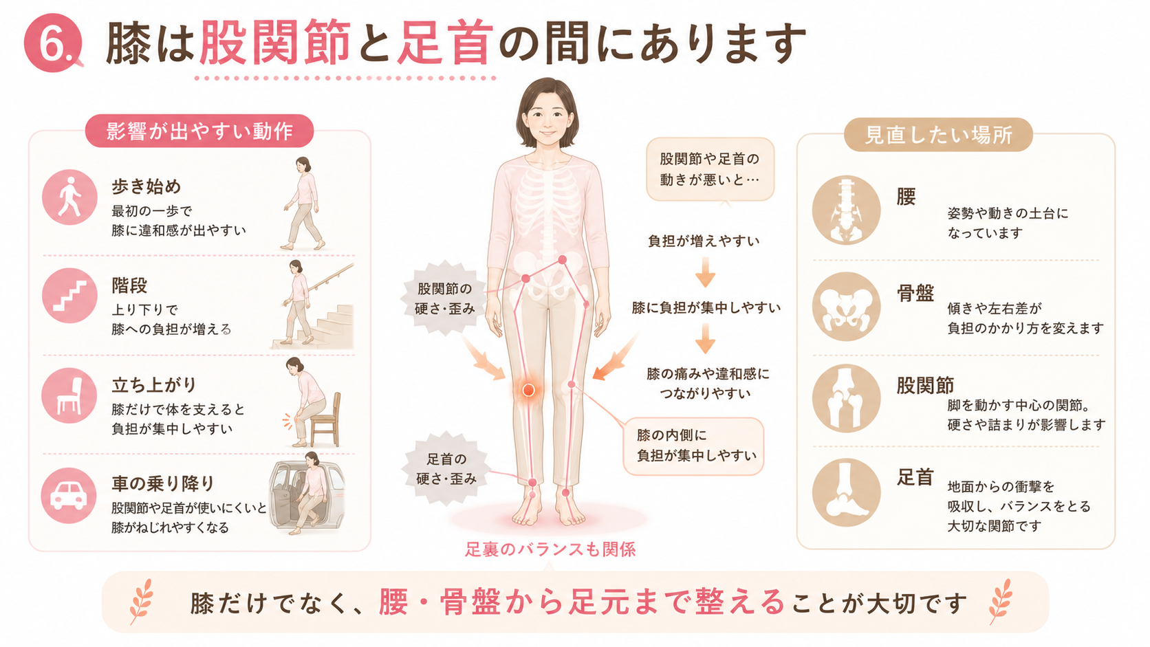 腰・骨盤・股関節・膝・足首・足裏のつながりを示し、股関節や足首の硬さが膝痛に関係することを説明する画像