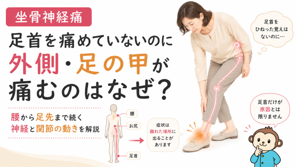坐骨神経痛で足首が痛くなる原因｜足首を痛めていないのに外側や足の甲が痛むのはなぜ？