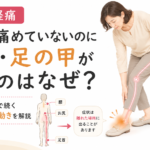 坐骨神経痛で足首が痛くなる原因｜足首を痛めていないのに外側や足の甲が痛むのはなぜ？