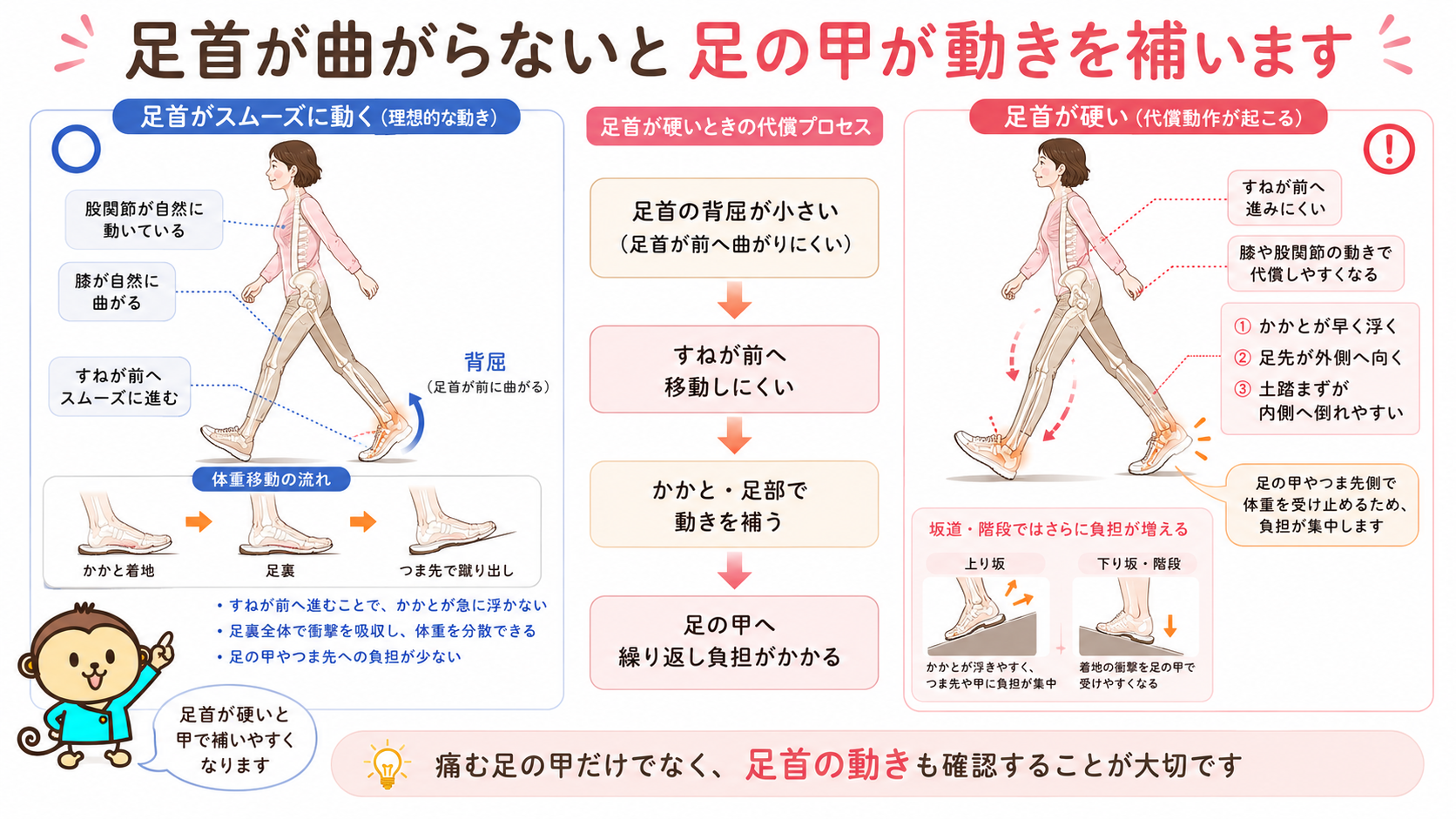 足首が滑らかに動く歩行と、足首の硬さをかかとや足の甲で補う歩行を比較した図
