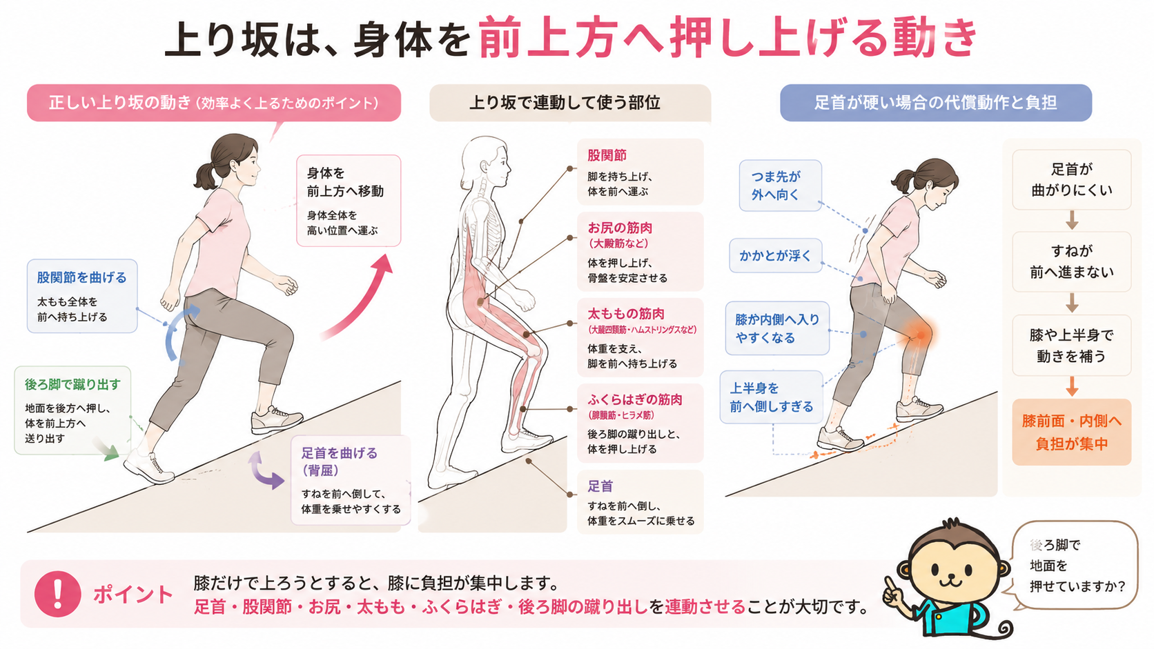 上り坂で足首を曲げ、股関節から脚を運び、後ろ脚で地面を押す動きと、足首が硬い場合の膝への負担を比較した図解
