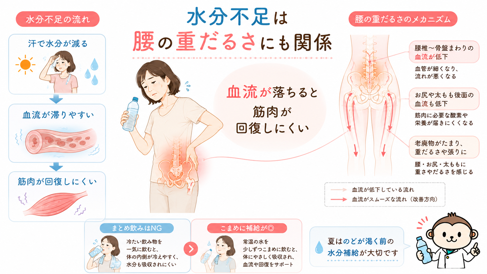 水分不足で血流が低下し、腰・骨盤・お尻・太もも後面の筋肉が回復しにくくなり腰の重だるさにつながる図解画像