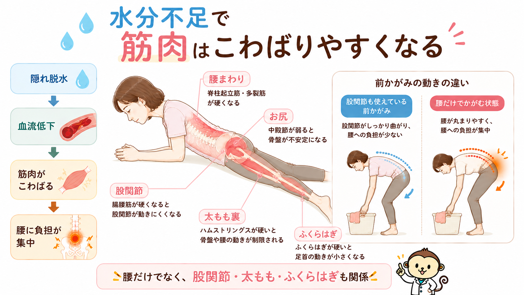 水分不足による血流低下と筋肉のこわばりが腰・股関節・太もも・ふくらはぎに影響する流れを示した図解画像
