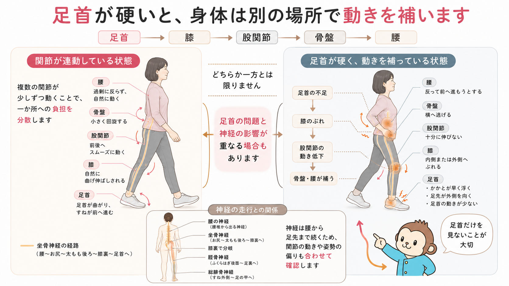 足首が滑らかに動く歩行と、足首の硬さを膝・股関節・骨盤・腰で補う歩行を比較した全身連動の図