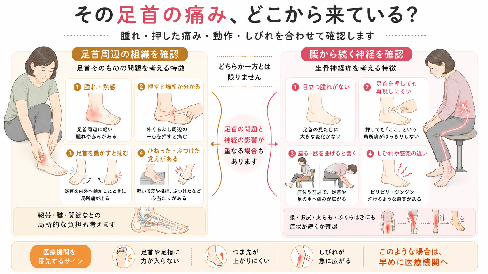 腫れや圧痛がある足首周辺の問題と、腰から足首へしびれが広がる坐骨神経痛の特徴を左右で比較した図