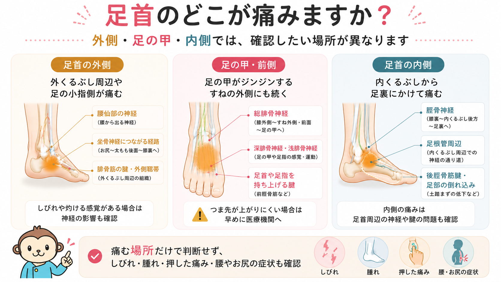 足首の外側、足の甲、足首の内側の痛む場所ごとに、関係する神経や腱、靱帯の違いを3分割で説明した図