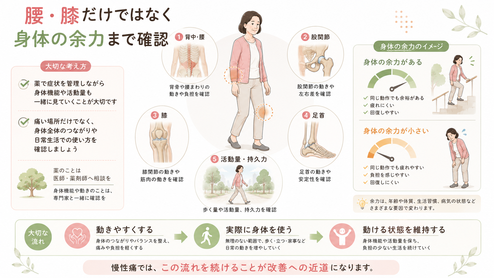 慢性腰痛や膝痛で背中・腰、股関節、膝、足首、活動量と身体の余力を全身から確認するイラスト