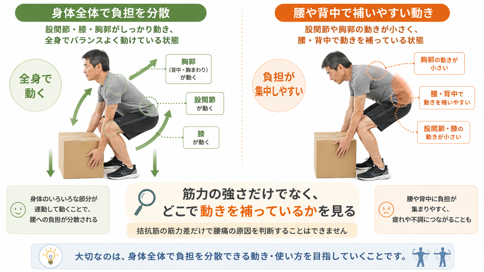 荷物を持ち上げる際に胸郭・股関節・膝を使って全身で動く場合と、腰や背中で動きを補う場合を比較した図