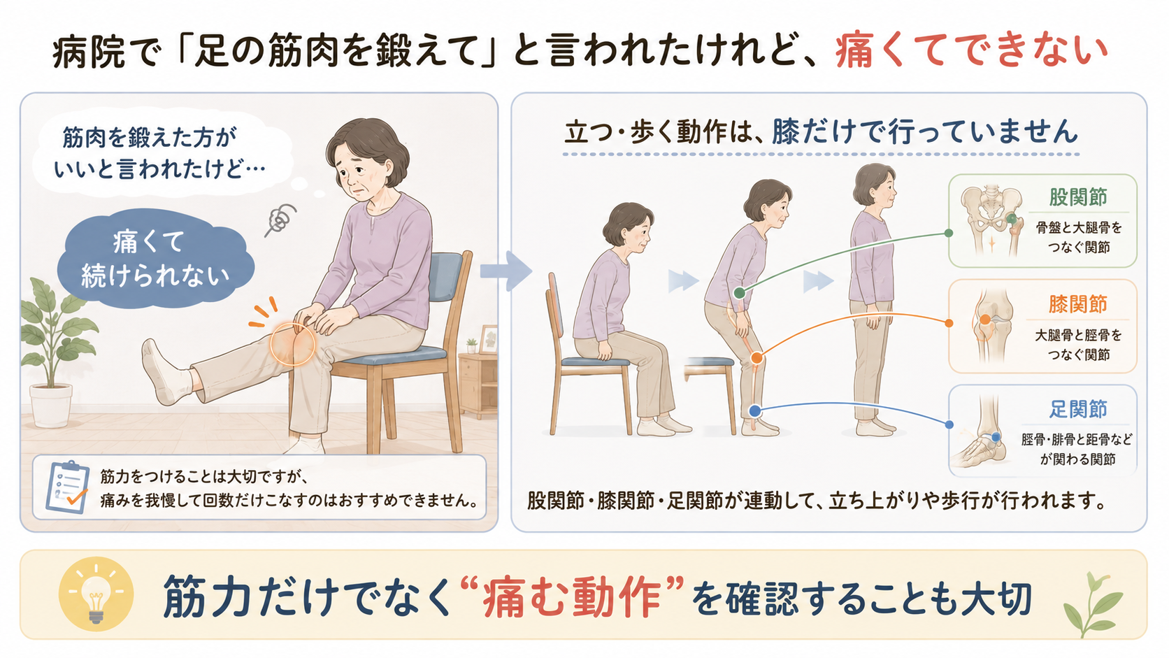 膝が痛くて筋力運動を続けられない女性と、立ち上がりで股関節・膝関節・足関節が連動する様子を示した図