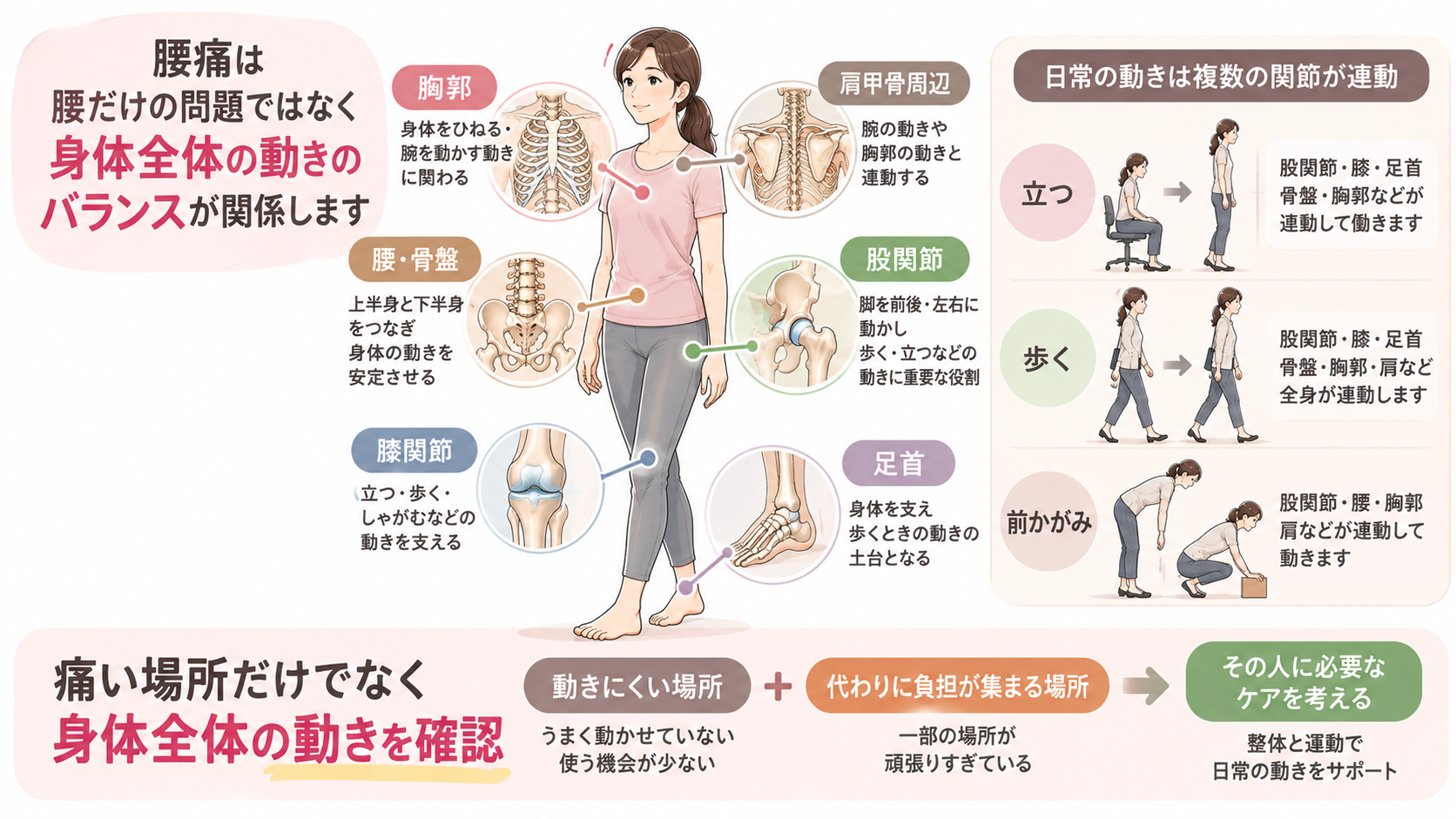 腰痛に対して胸郭、肩甲骨周辺、骨盤・腰、股関節、膝、足首と立つ・歩く・前かがみ動作を確認する図