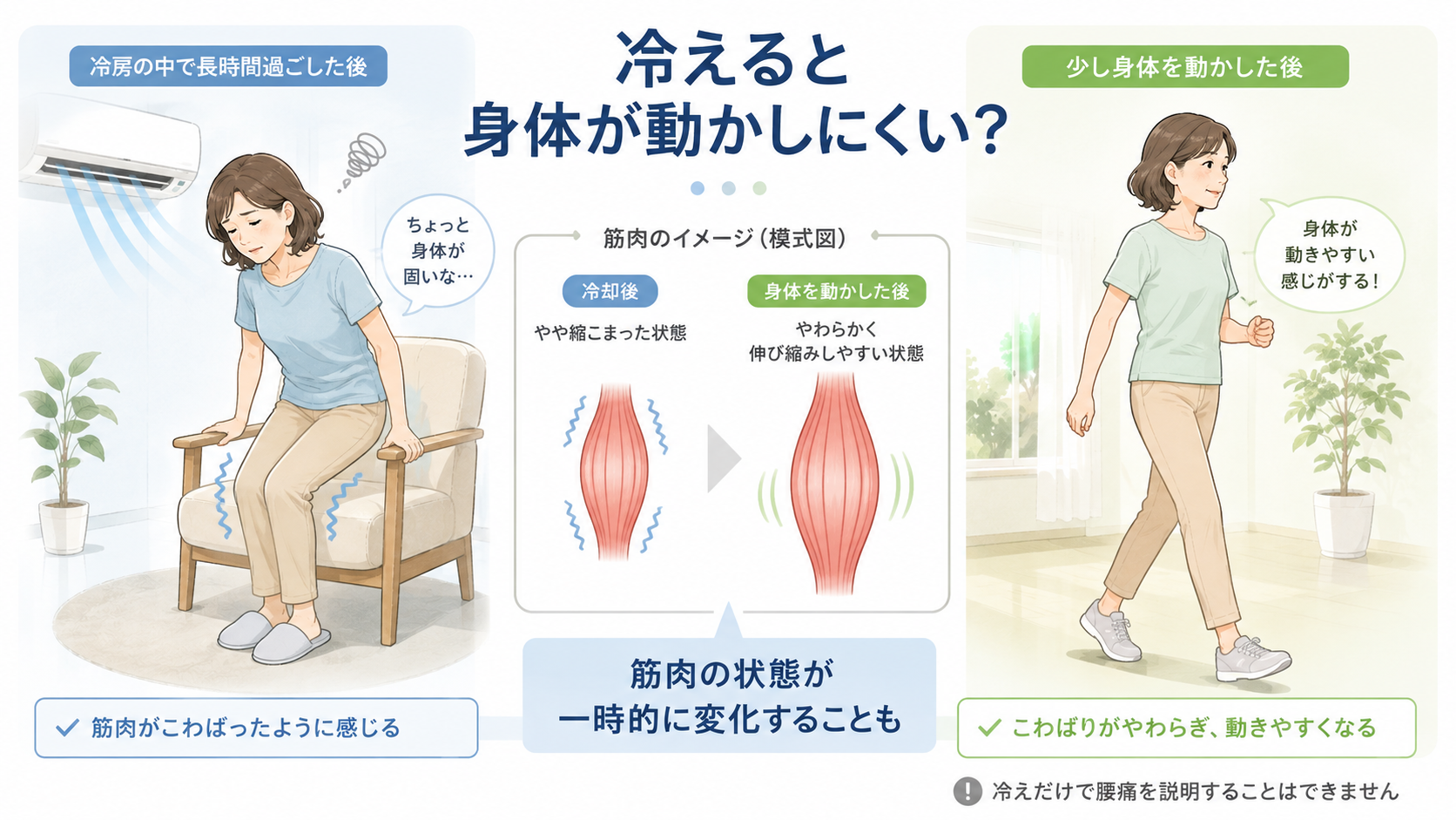 冷房で身体が冷えた後に立ち上がりにくい女性と、身体を動かした後の違いを筋肉の模式図で比較したイラスト