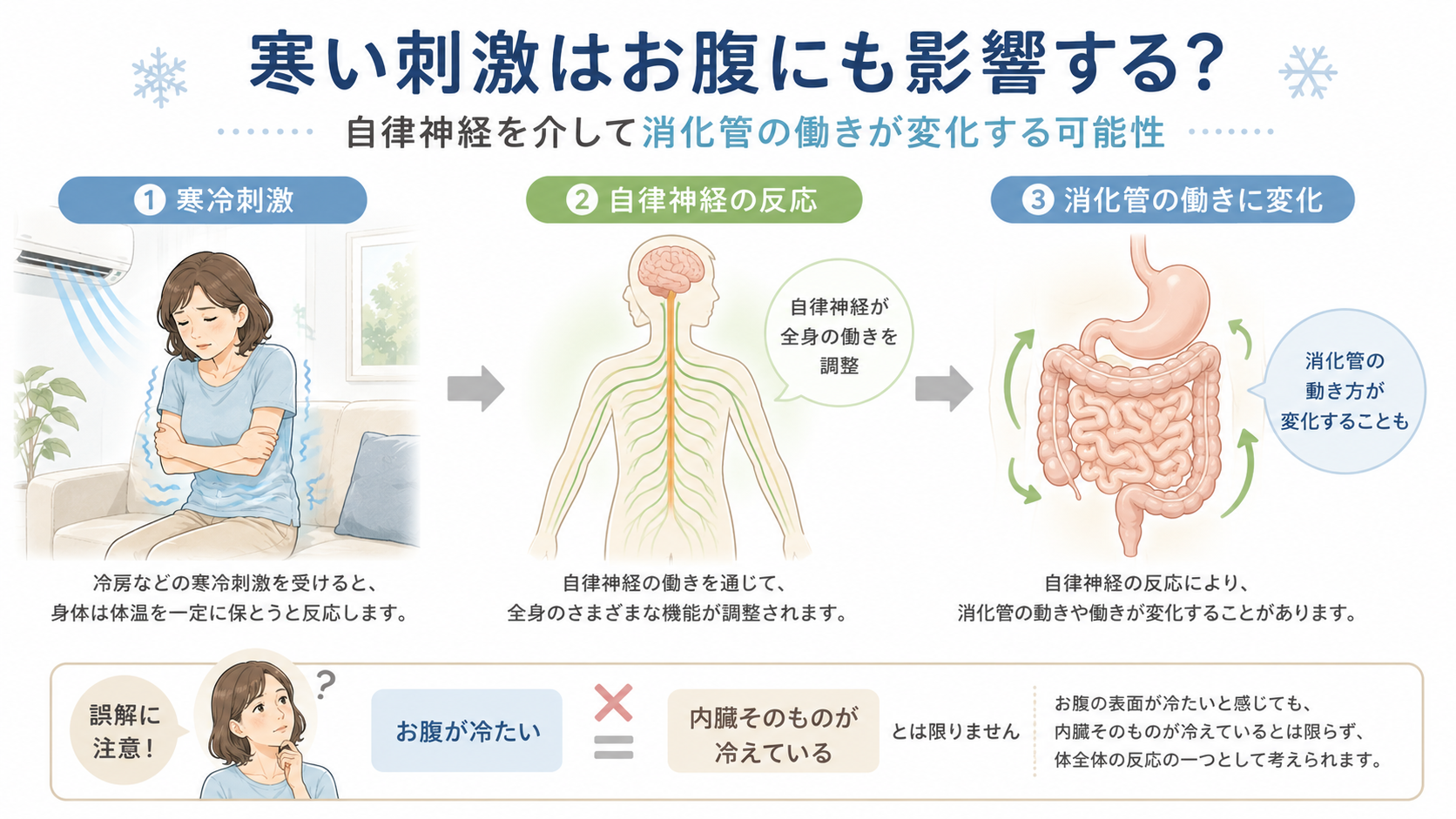 冷房などの寒冷刺激から自律神経の反応を介して消化管の働きが変化する可能性を示した3段階のイラスト