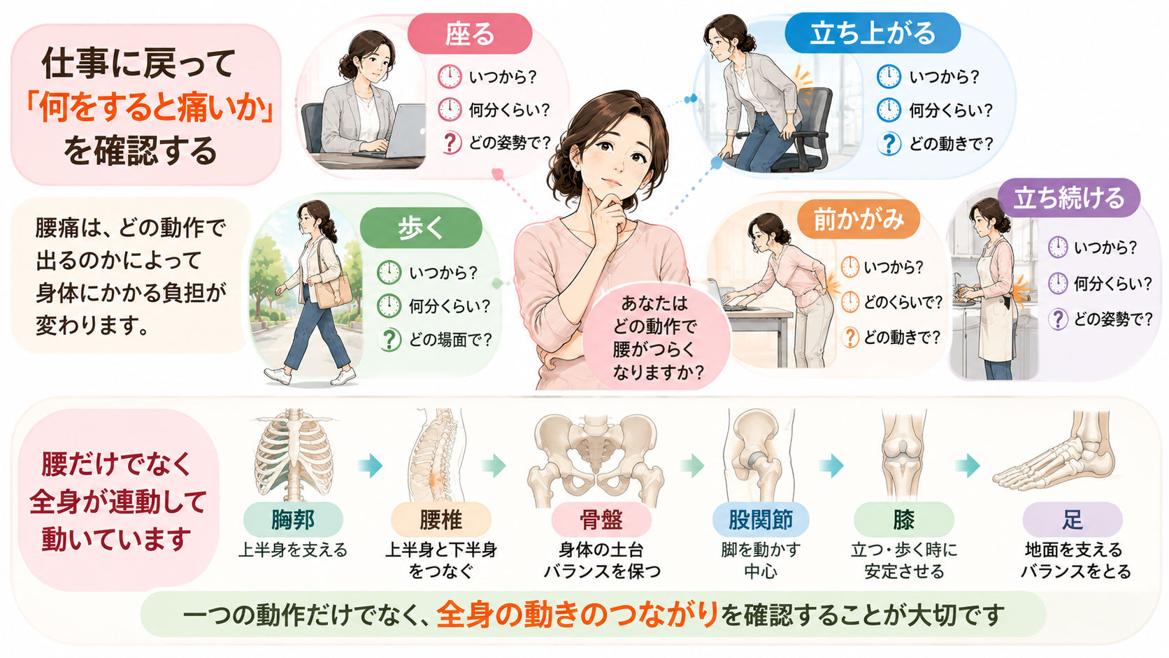 腰痛が座る・立ち上がる・歩く・前かがみ・立ち続ける動作のどこで出るかと全身の連動を確認するイラスト