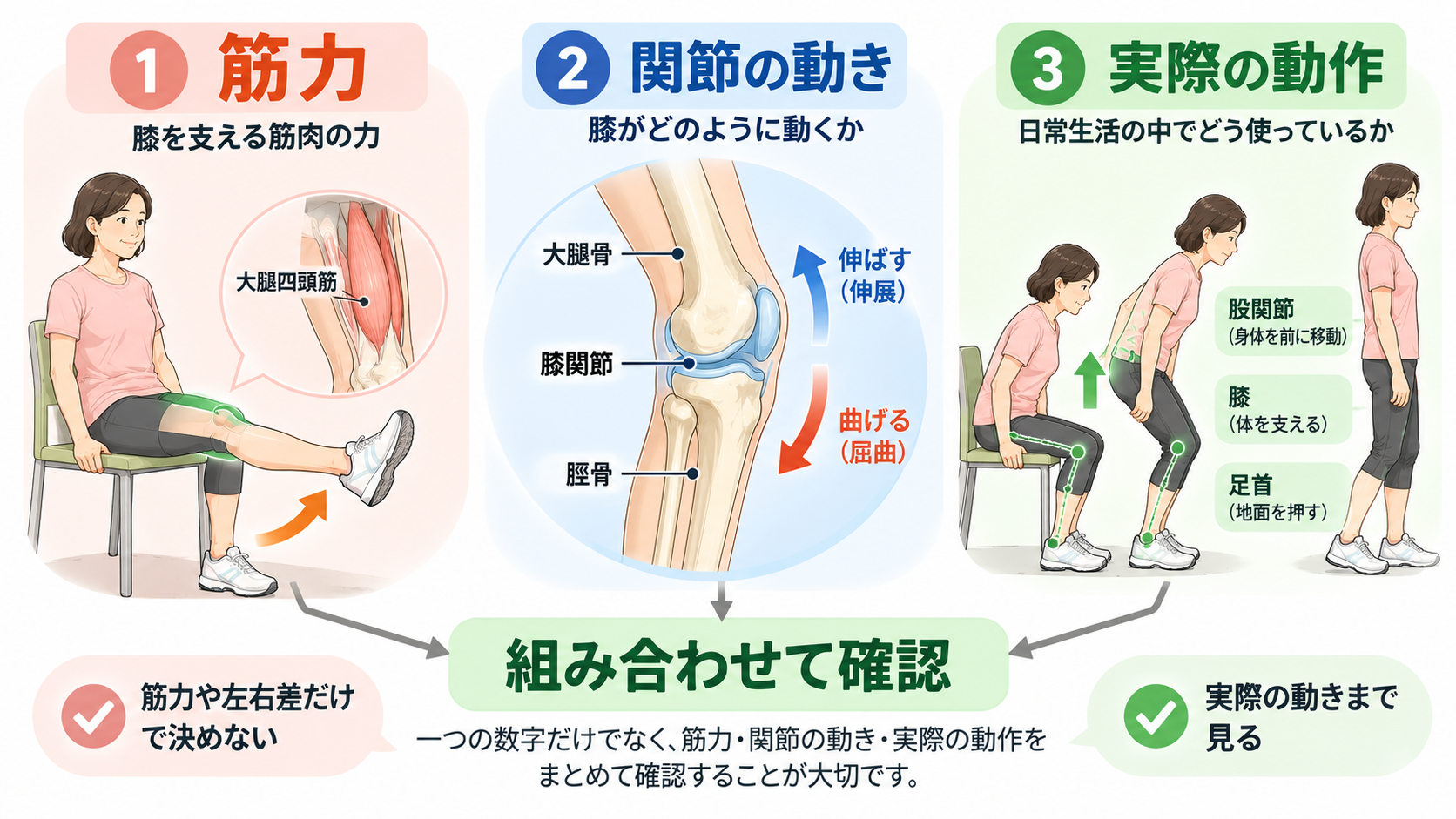 膝の筋力、関節の動き、椅子からの立ち上がり動作を組み合わせて確認するイラスト