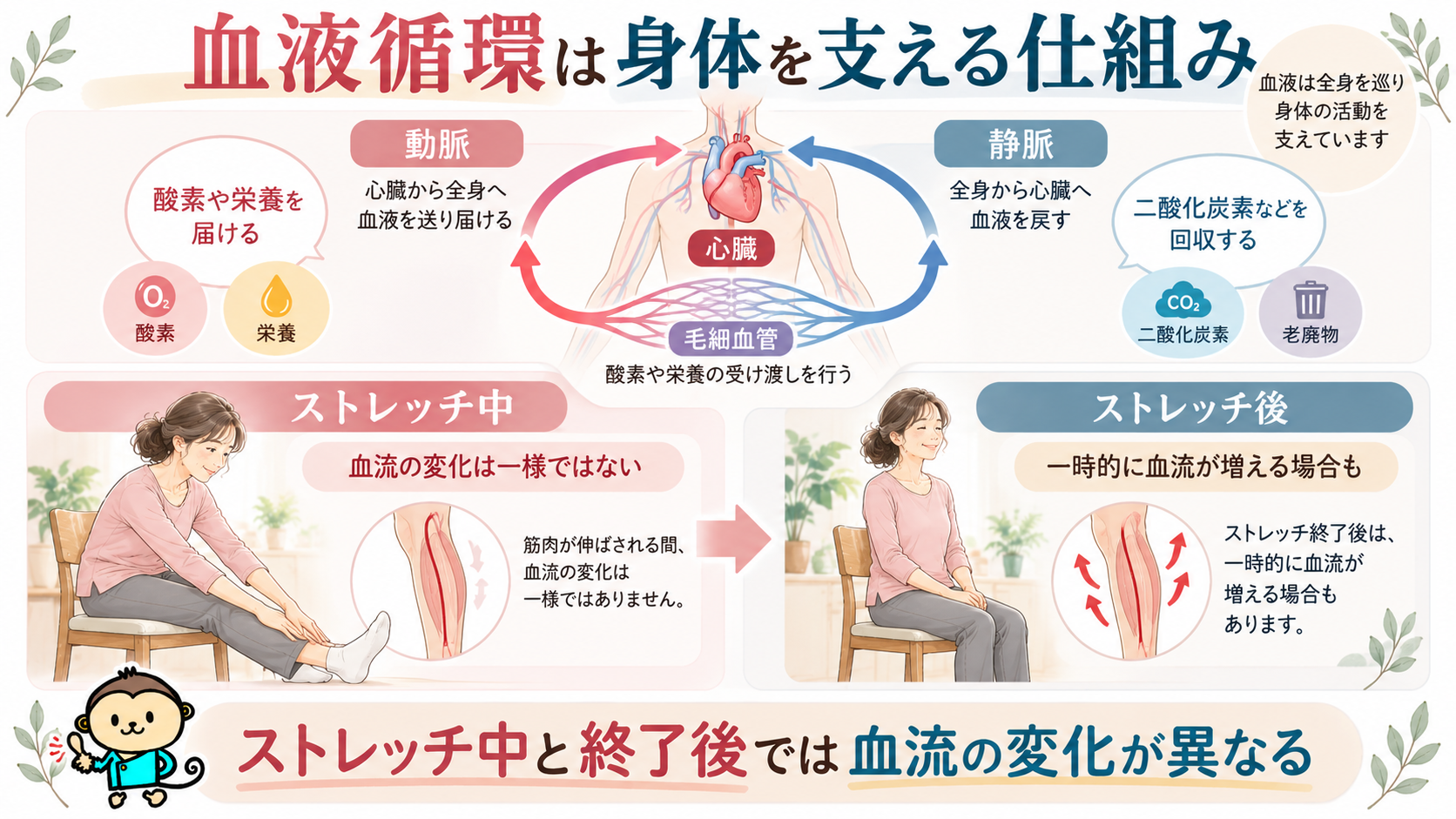 心臓から動脈・毛細血管・静脈を通る血液循環の仕組みと、ストレッチ中・終了後の血流変化を説明したイラスト