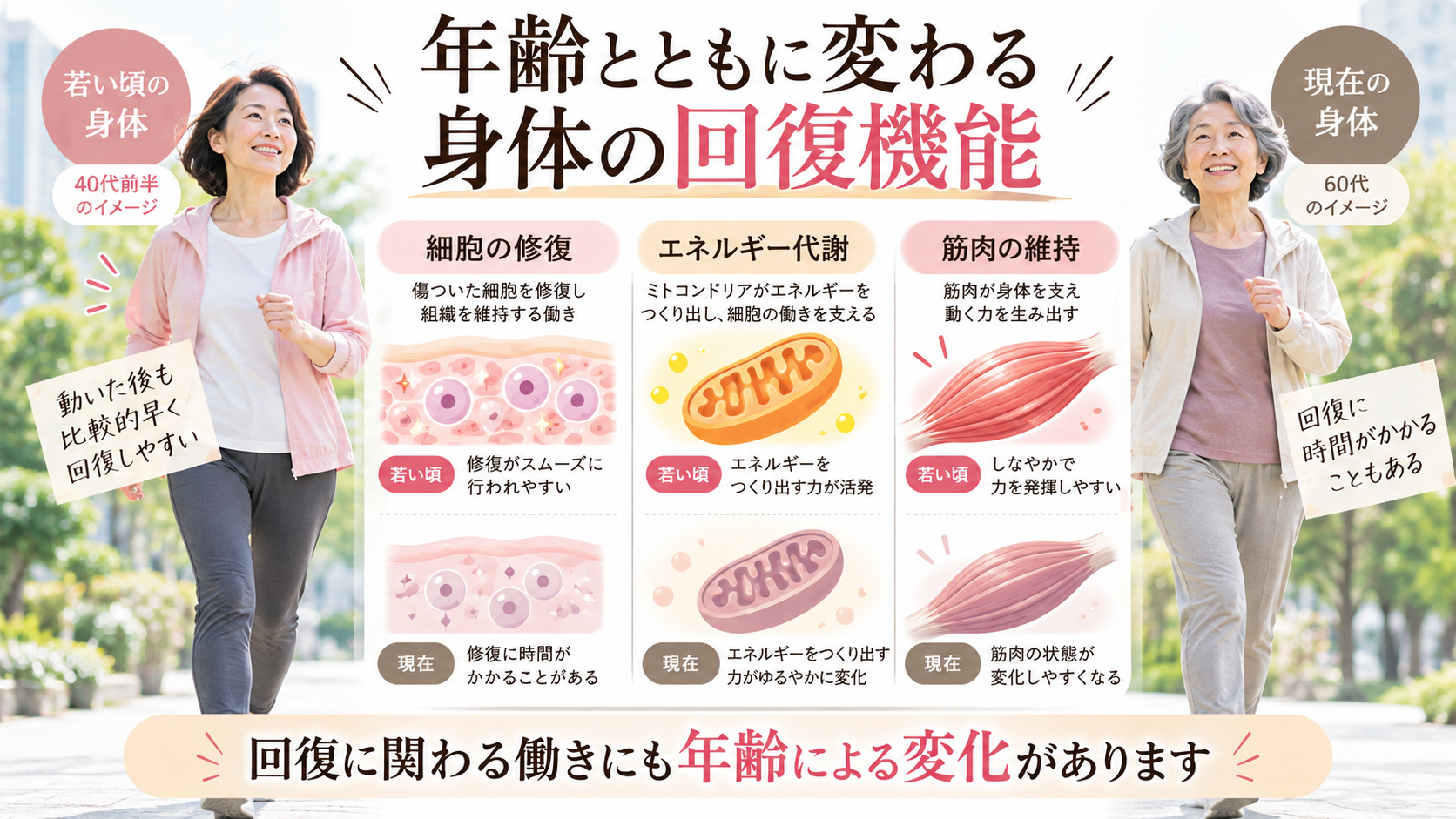 年齢による身体の回復機能の変化を比較し、細胞の修復・ミトコンドリアによるエネルギー代謝・筋肉の維持を説明するイラスト