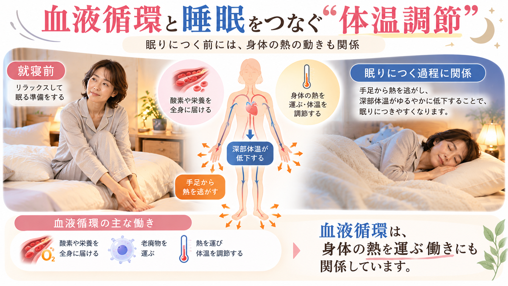 眠りにつく前に手足から熱を逃がし、深部体温が低下していく仕組みを説明したイラスト