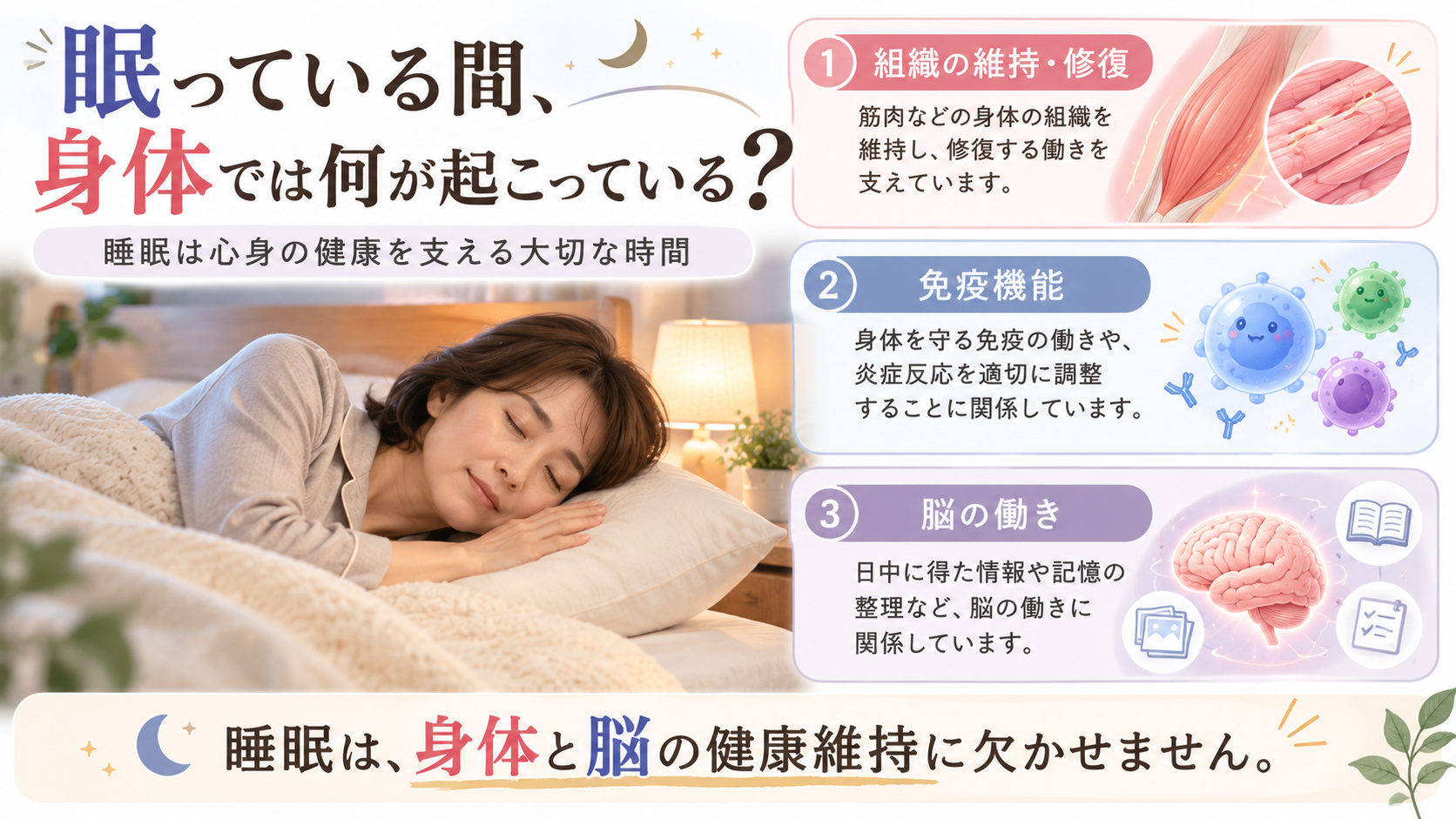 睡眠中の組織の維持・修復、免疫機能、脳の働きを3つの項目で説明したイラスト