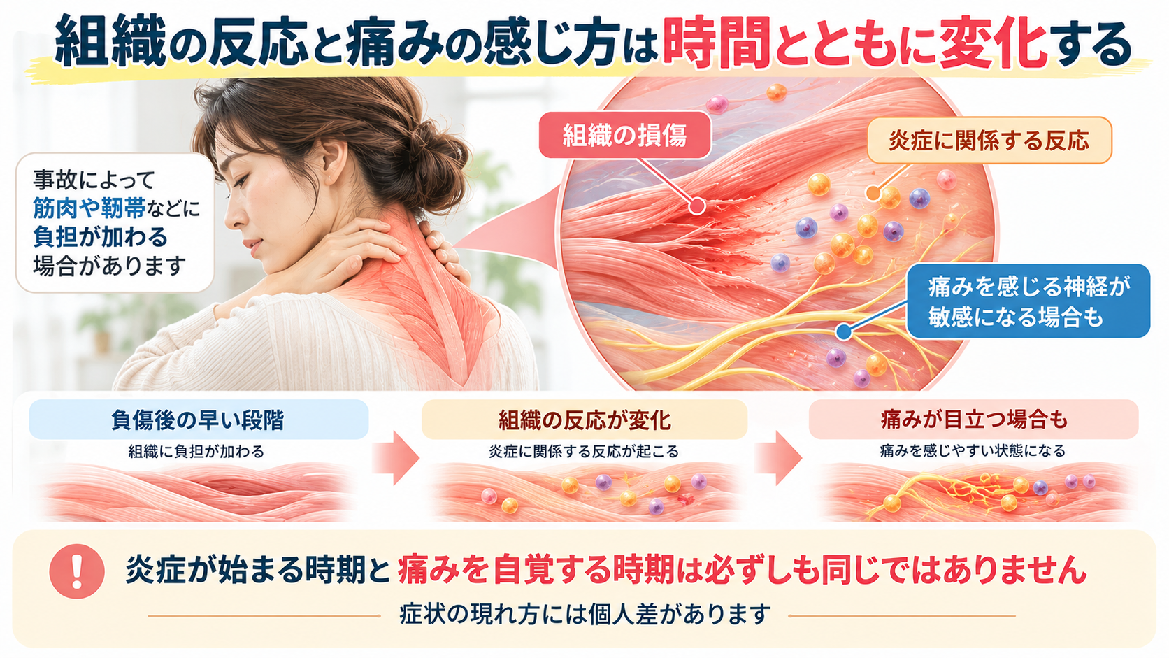 交通事故後の首や肩の違和感と、筋肉などの組織の損傷、炎症反応、痛みを感じる神経の変化を示す模式イラスト